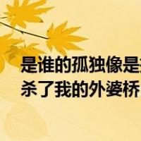 是谁的孤独像是把刀杀了我的外婆桥（谁的孤独 像一把刀 杀了我的外婆桥 杀了我的念奴娇）