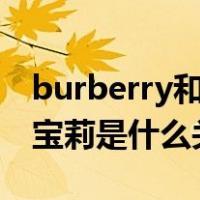 burberry和巴宝莉的区别（baneberry跟巴宝莉是什么关系）