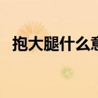 抱大腿什么意思下一句怎么回答（抱大腿）