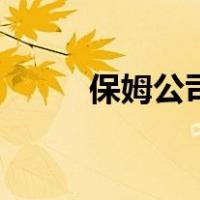 保姆公司（关于保姆公司的介绍）