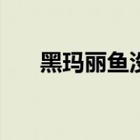 黑玛丽鱼没有公鱼能繁殖吗（黑玛丽）