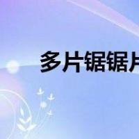 多片锯锯片（关于多片锯锯片的介绍）