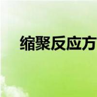 缩聚反应方法有哪四种（缩聚反应举例）