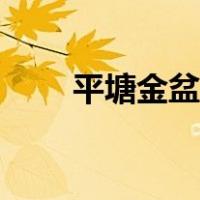 平塘金盆网人才招聘（平塘金盆网）