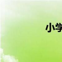 小学教师实践的个人总结