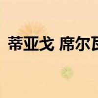蒂亚戈 席尔瓦（关于蒂亚戈 席尔瓦的介绍）