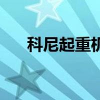 科尼起重机设备(上海)有限公司交几金