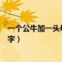 一个公牛加一头母牛猜三个字（一头公牛加一头母牛猜三个字）