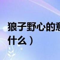 狼子野心的意思是什么意思（狼子野心寓意是什么）