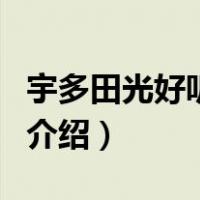宇多田光好听的歌（关于宇多田光好听的歌的介绍）
