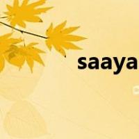 saayaa（关于saayaa的介绍）