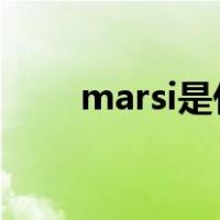 marsi是什么意思（rsi是什么意思）