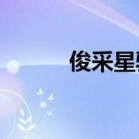 俊采星驰 滕王阁序（俊采星驰）