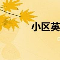 小区英文怎么表达（小区英文）