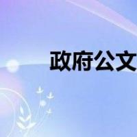 政府公文范本格式（政府公文范本）