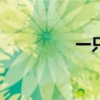 一只黑鸟的价格是多少？