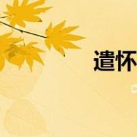 遣怀杜牧全诗译文（遣怀）