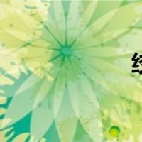 绞龙上料机（绞龙）