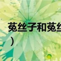 菟丝子和菟丝花有什么区别（菟丝花什么意思）