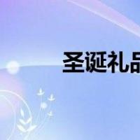 圣诞礼品（关于圣诞礼品的介绍）