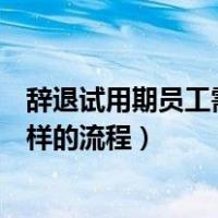 辞退试用期员工需要办理啥手续（试用期辞退员工需要什么样的流程）