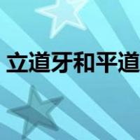 立道牙和平道牙区别（立道牙和平道牙图片）