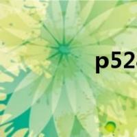 p528（关于p528的介绍）
