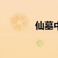 仙墓中（关于仙墓中的介绍）