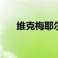 维克梅耶尔（关于维克梅耶尔的介绍）
