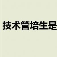 技术管培生是做什么的（管培生是做什么的）