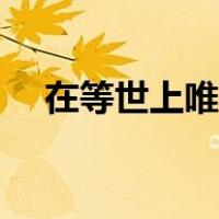 在等世上唯一契合的灵魂（契合的灵魂）