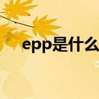 epp是什么材料图片（epp是什么材料）