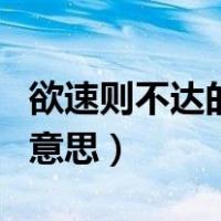 欲速则不达的意思是什么成语（欲速则不达的意思）
