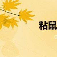 粘鼠板规格（粘鼠板价格）