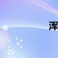 浑仪是干嘛的（浑仪）