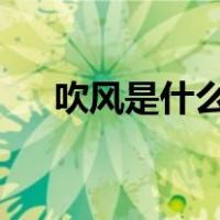 吹风是什么意思?（吹风会是什么意思）