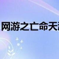 网游之亡命天涯 大漠小鸟（网游之亡命天涯）