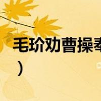 毛玠劝曹操奉天子以令不臣（奉天子以令不臣）