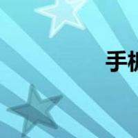 手板（手板是什么意思）