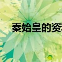 秦始皇的资料简介50字（秦始皇的资料）