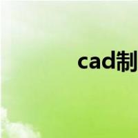 cad制图初学入门（cad翻转）