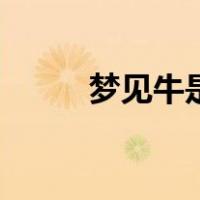 梦见牛是好事还是坏事（梦见牛）