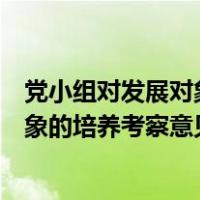 党小组对发展对象的培养考察意见怎么写（党小组对发展对象的培养考察意见）
