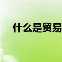 什么是贸易公司出品（什么是贸易公司）