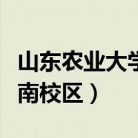 山东农业大学南校区占地面积（山东农业大学南校区）