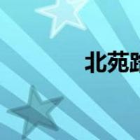 北苑路北是几环（北苑路北）