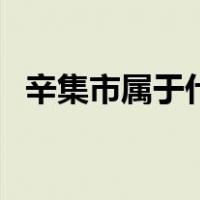 辛集市属于什么级别（辛集市属于哪个市）