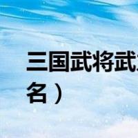 三国武将武力排名前24名（三国武将武力排名）
