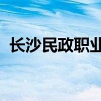 长沙民政职业技术学院官网一站式服务大厅