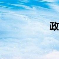 政治斗争（政治斗争）